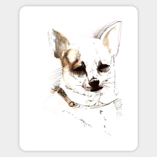 Chihuahua Sticker